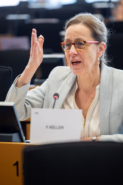 Φωτογραφία 5: LIBE - Public hearing - The Future of Police and Judicial Cooperation in Criminal Matters in the European Union.