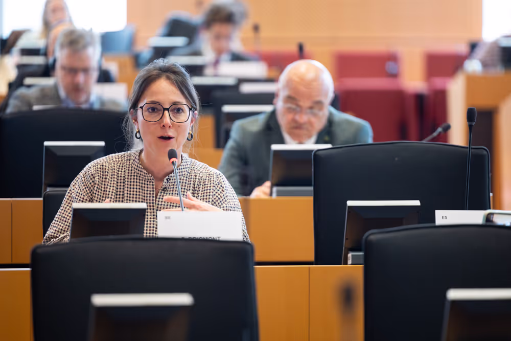 LIBE - Public hearing - The Future of Police and Judicial Cooperation in Criminal Matters in the European Union.