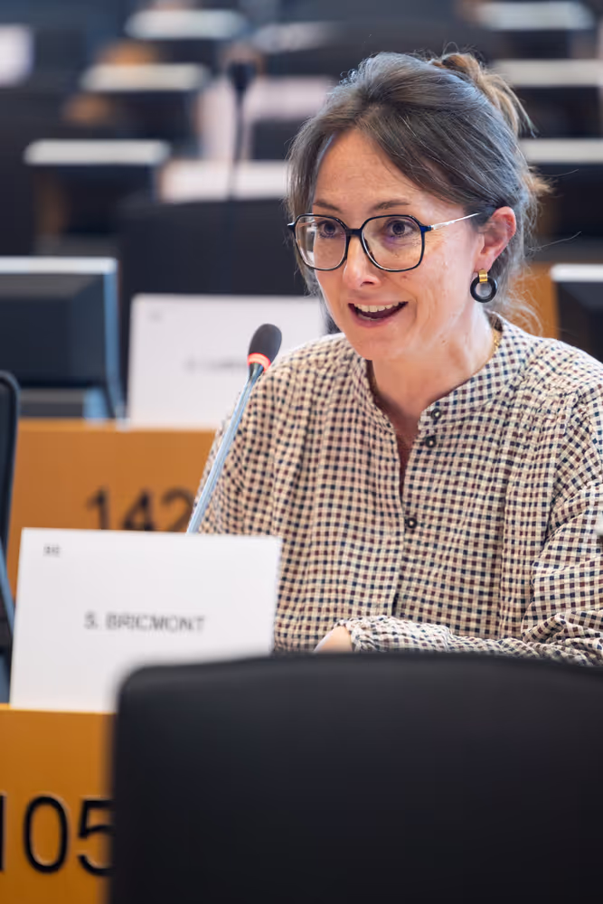 LIBE - Public hearing - The Future of Police and Judicial Cooperation in Criminal Matters in the European Union.