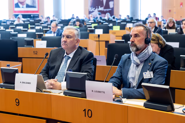 Φωτογραφία 29: LIBE - Public hearing - The Future of Police and Judicial Cooperation in Criminal Matters in the European Union