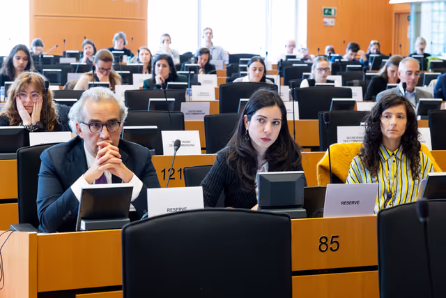 Φωτογραφία 24: LIBE - Public hearing - The Future of Police and Judicial Cooperation in Criminal Matters in the European Union