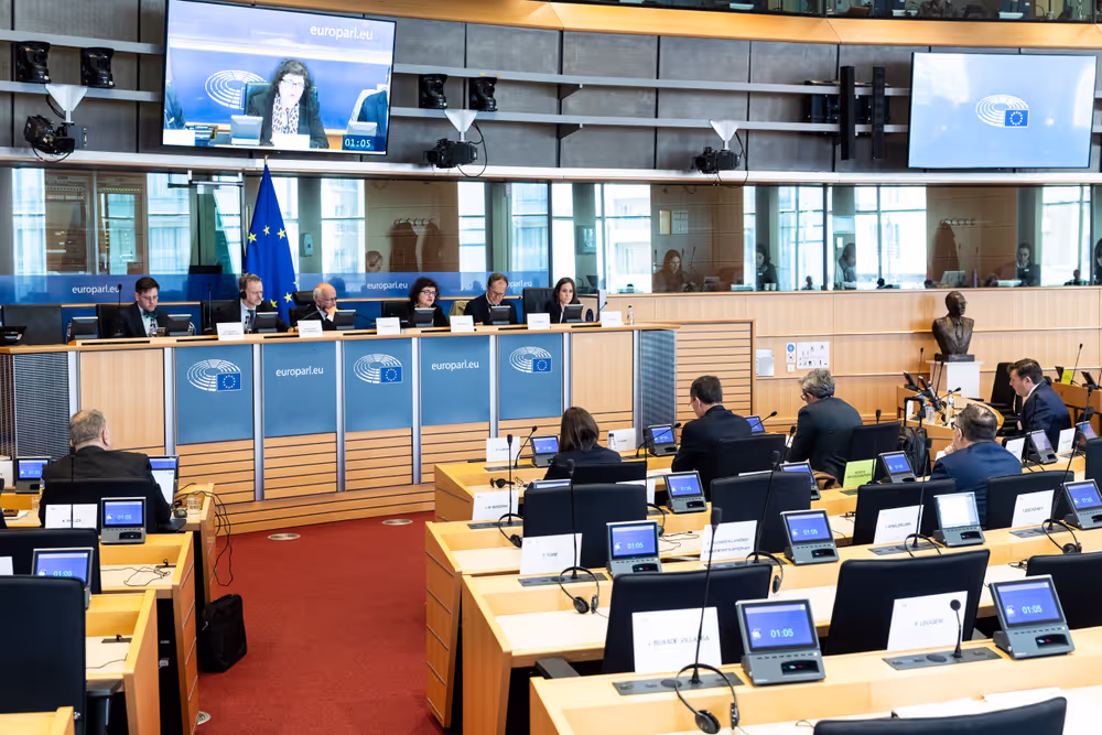 LIBE - Public hearing - The Future of Police and Judicial Cooperation in Criminal Matters in the European Union