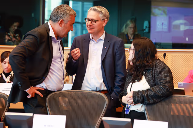 Fotografija 35: EP delegation to the Conciliation Committee meeting on Air passenger rights