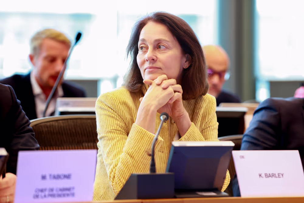 EP delegation to the Conciliation Committee meeting on Air passenger rights