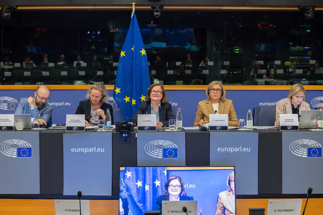 EUDS Extraordinary meeting - Exchange of views with Executive Vice-President for Tech Sovereignty, Security and Democracy, Henna Virkkunen