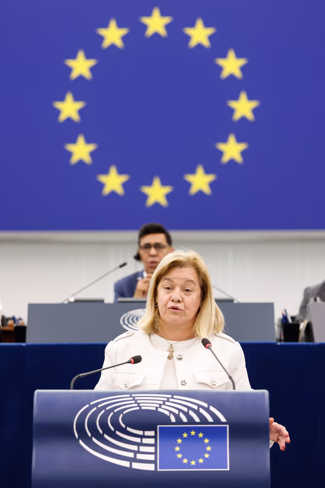 EP Plenary session - Interim report on the proposal for the multiannual financial framework for 2028-2034