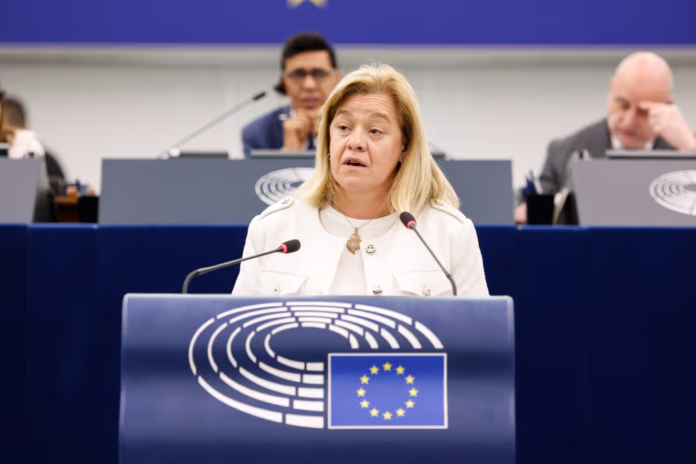 EP Plenary session - Interim report on the proposal for the multiannual financial framework for 2028-2034