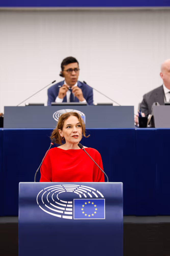 EP Plenary session - Interim report on the proposal for the multiannual financial framework for 2028-2034