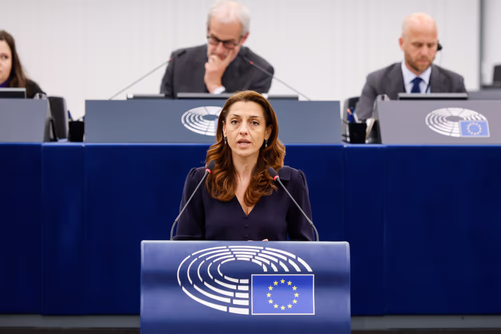 EP Plenary session - Interim report on the proposal for the multiannual financial framework for 2028-2034