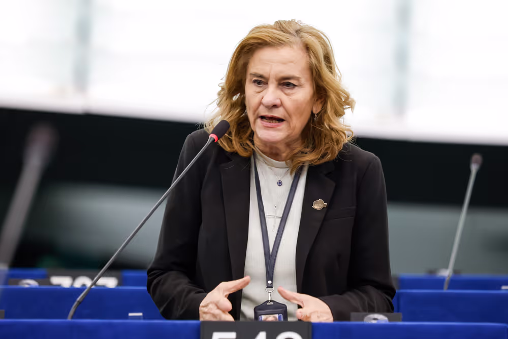 EP Plenary session - Interim report on the proposal for the multiannual financial framework for 2028-2034
