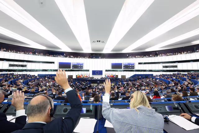 EP Plenary session - Voting session