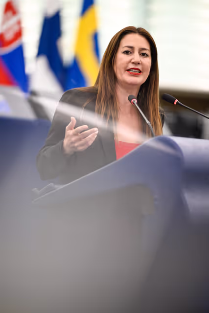 EP Plenary session - Monitoring the application of European Union law in 2023, 2024 and 2025