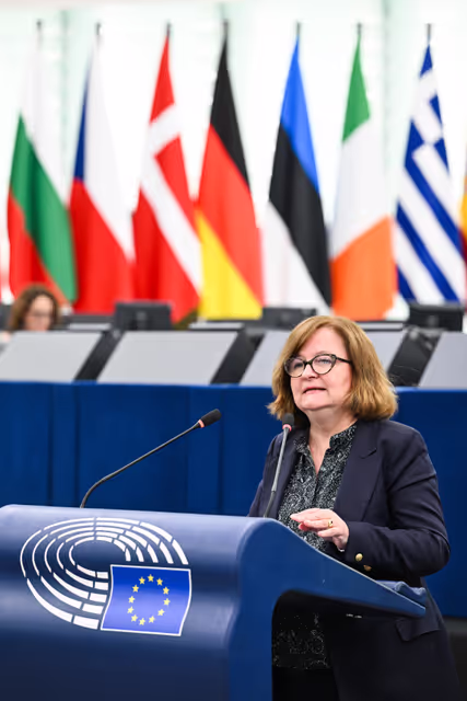 Снимка 31: EP Plenary session - Supporting democratic resilience in Armenia