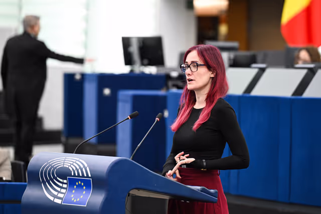 Снимка 30: EP Plenary session - Supporting democratic resilience in Armenia