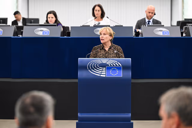 Снимка 13: EP Plenary session - Supporting democratic resilience in Armenia
