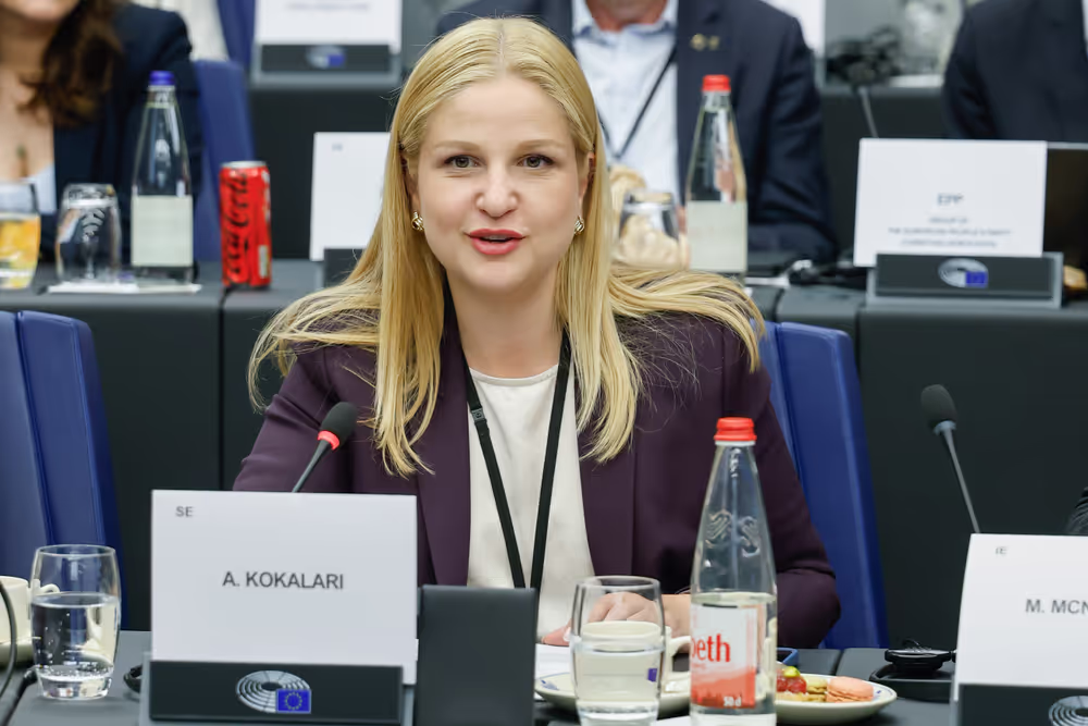 LIBE IMCO - Trilogue on Digital omnibus on AI