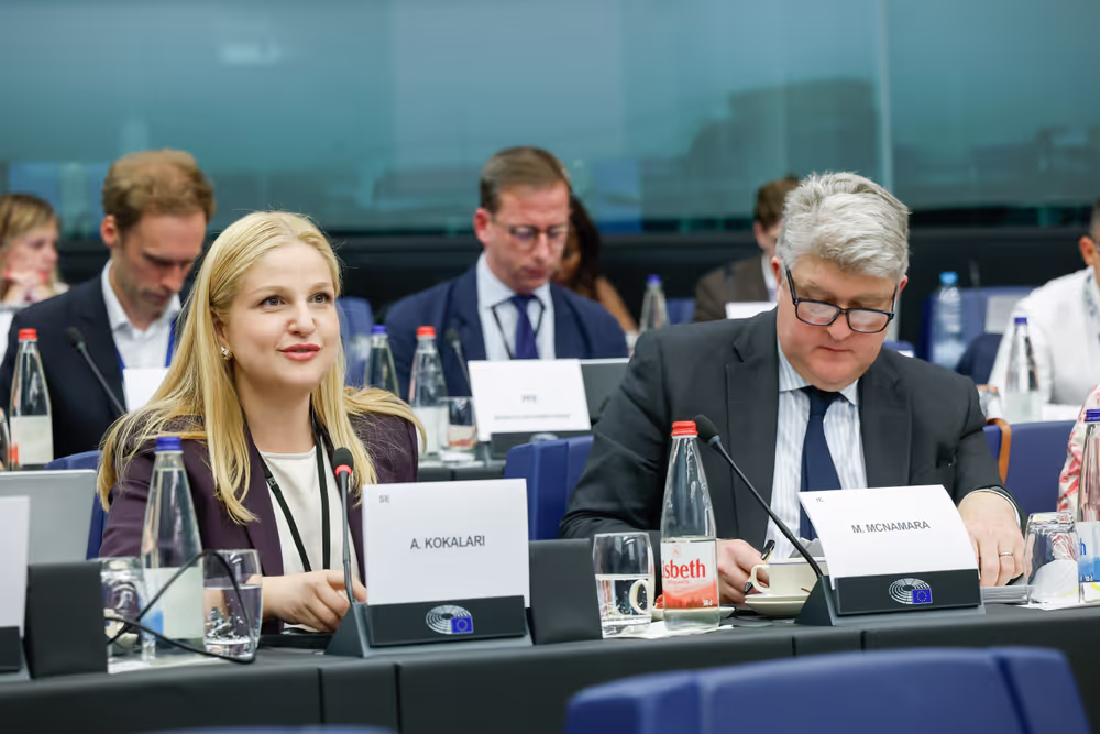 LIBE IMCO - Trilogue on Digital omnibus on AI