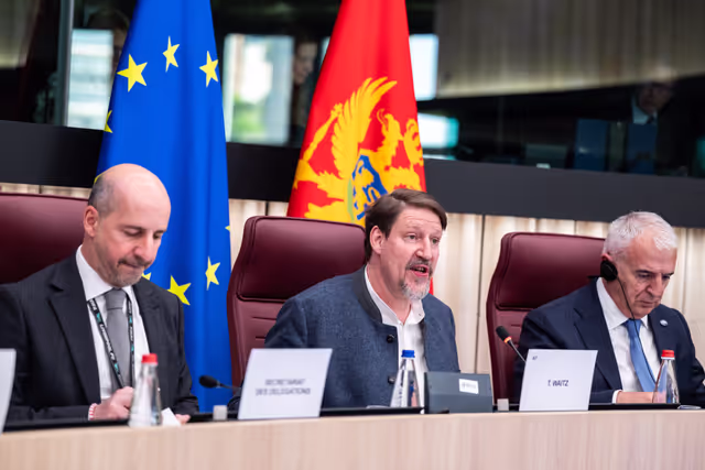 Photo 29: 25th EU-Montenegro SAPC meeting