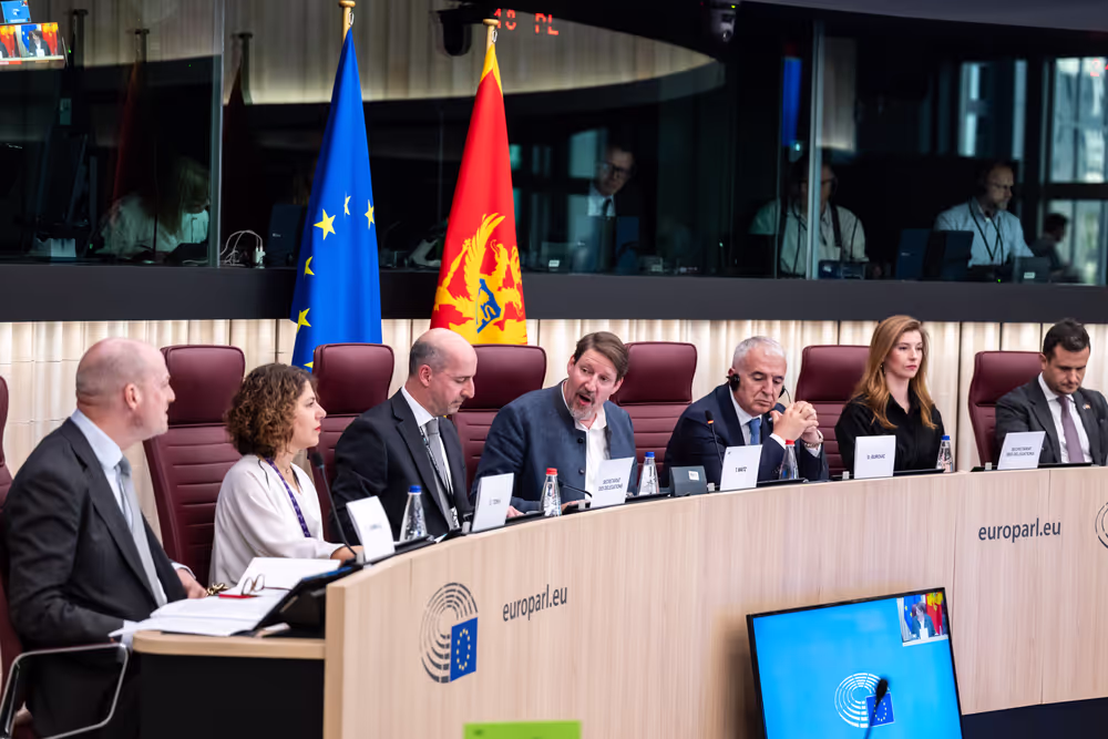 25th EU-Montenegro SAPC meeting