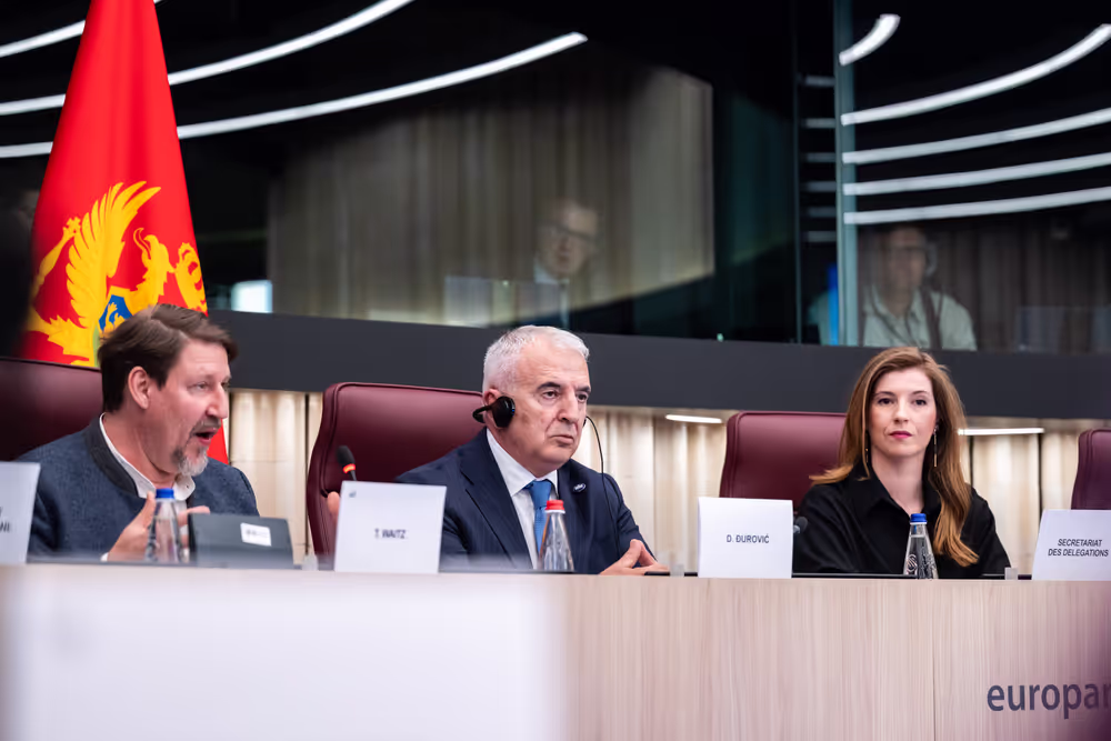 25th EU-Montenegro SAPC meeting