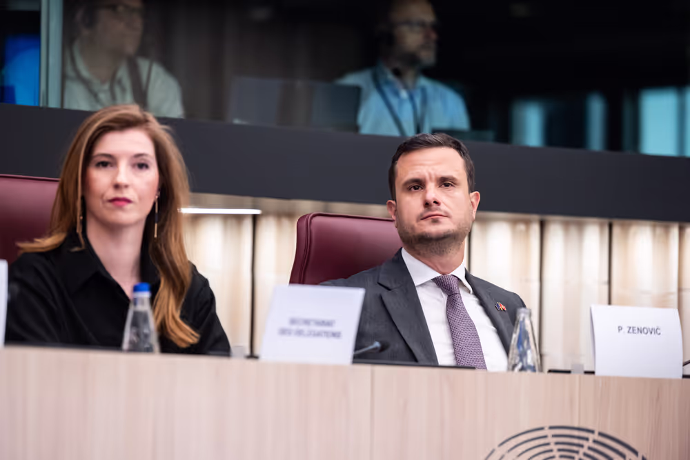 25th EU-Montenegro SAPC meeting