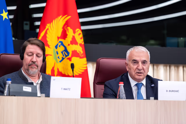 Photo 8: 25th EU-Montenegro SAPC meeting