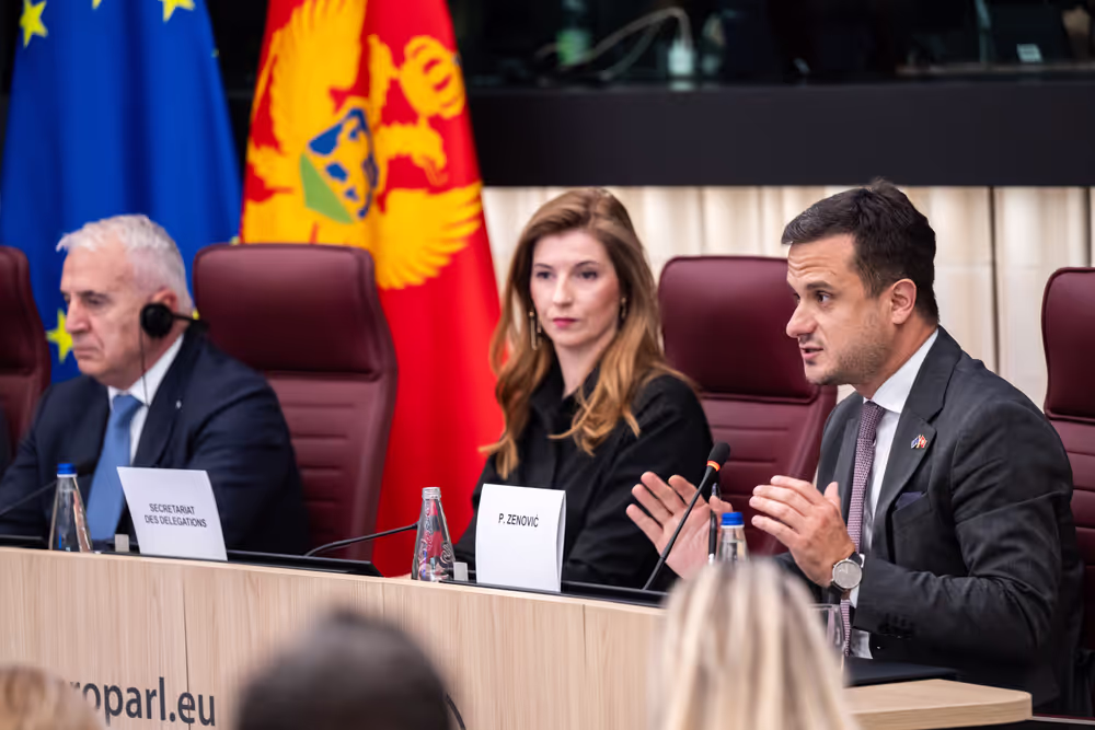 25th EU-Montenegro SAPC meeting