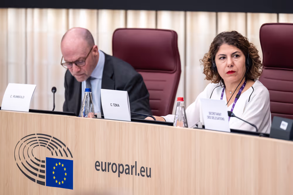 25th EU-Montenegro SAPC meeting
