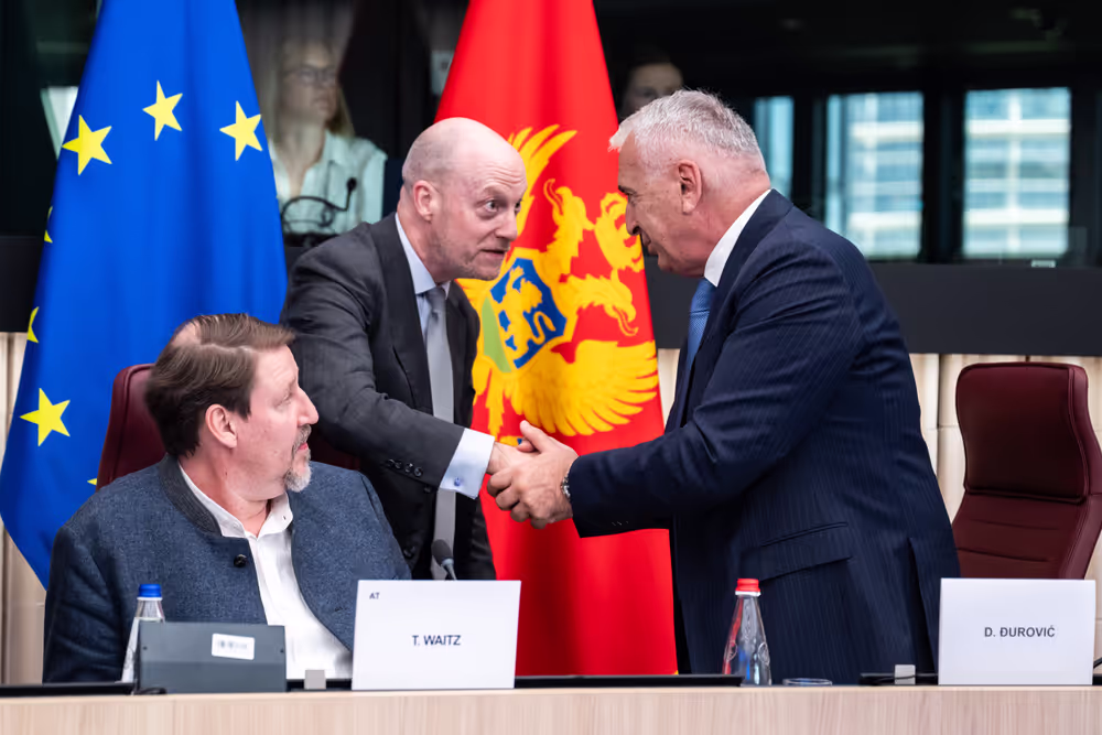 25th EU-Montenegro SAPC meeting