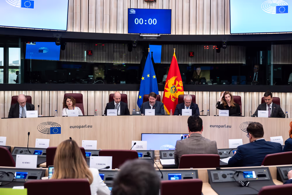 25th EU-Montenegro SAPC meeting