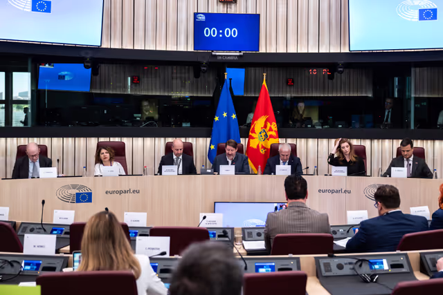 Photo 30: 25th EU-Montenegro SAPC meeting
