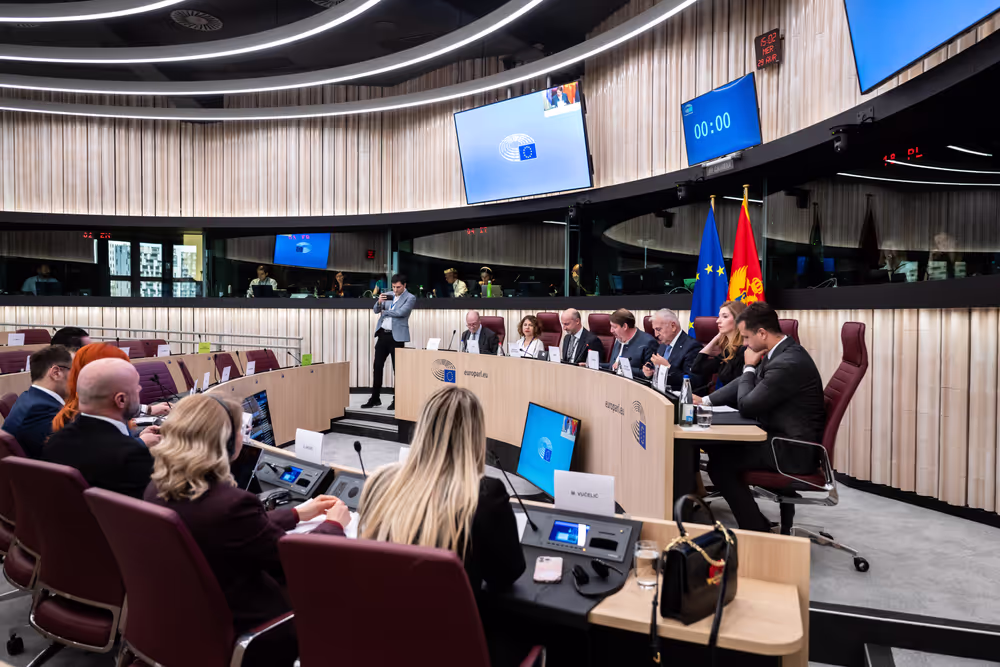 25th EU-Montenegro SAPC meeting