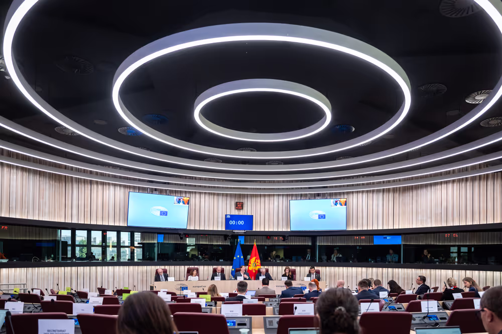 25th EU-Montenegro SAPC meeting