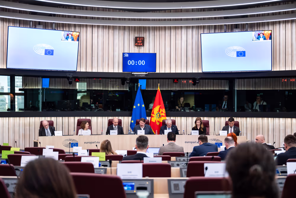 25th EU-Montenegro SAPC meeting