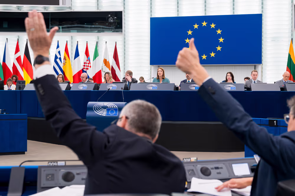 EP Plenary session - Voting session