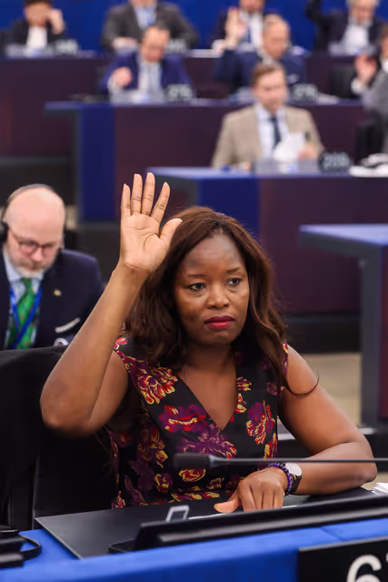 Nuotrauka 38: EP Plenary session - Voting session