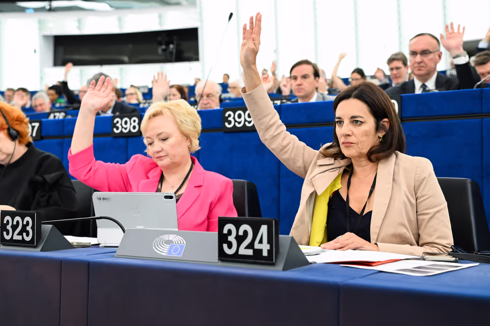 EP Plenary session - Voting session