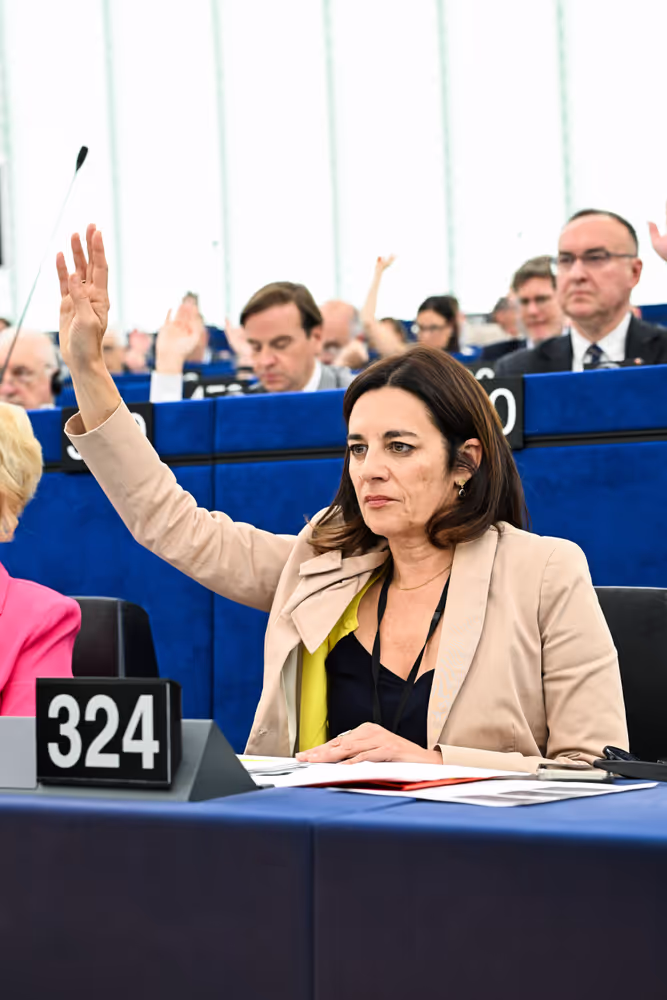 EP Plenary session - Voting session