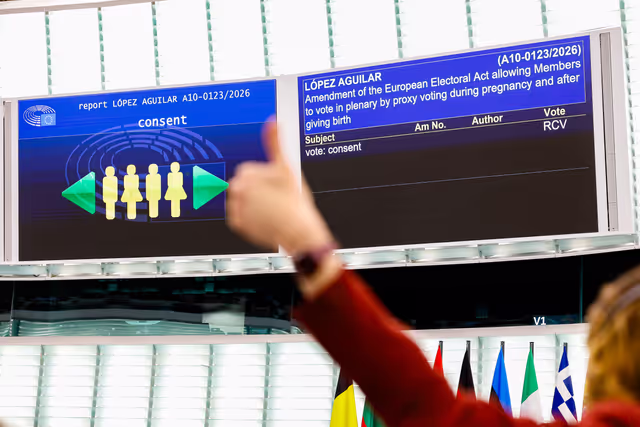 Nuotrauka 32: EP Plenary session - Voting session
