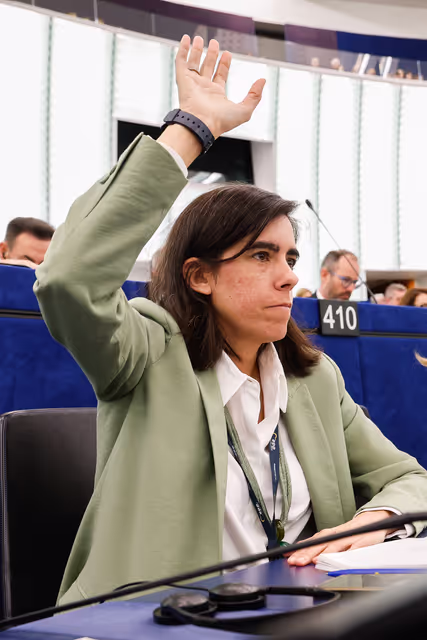 Nuotrauka 19: EP Plenary session - Voting session
