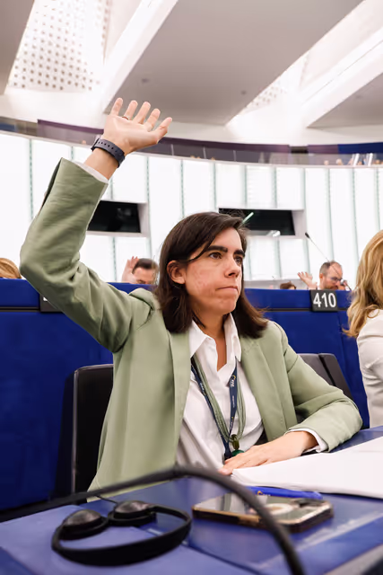 Nuotrauka 21: EP Plenary session - Voting session