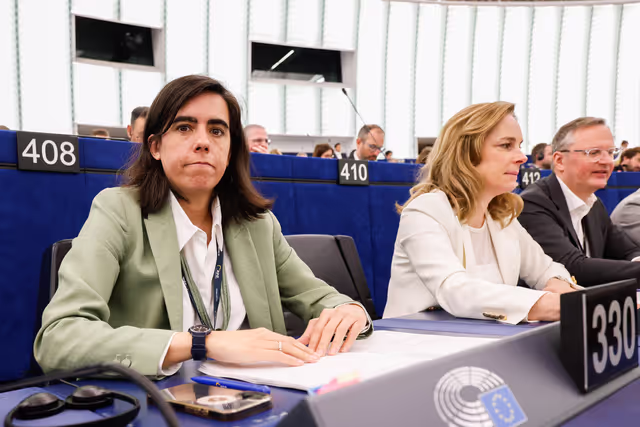 Nuotrauka 20: EP Plenary session - Voting session