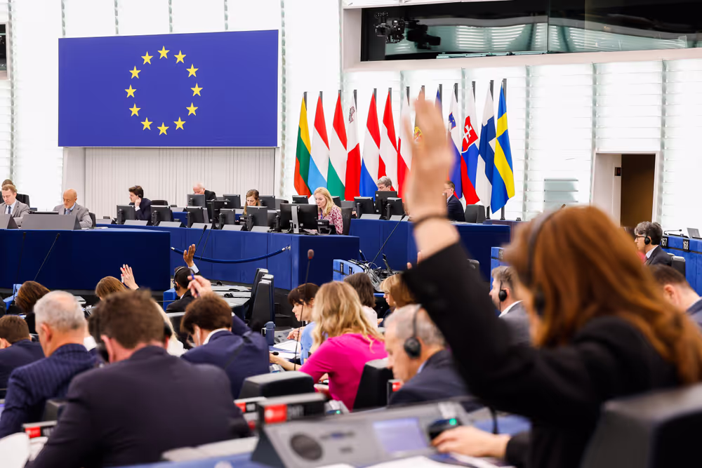 EP Plenary session - Voting session