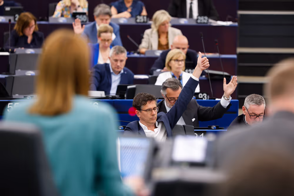 EP Plenary session - Voting session