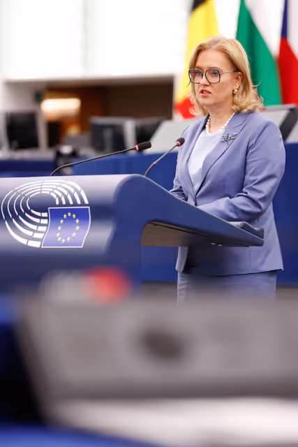 EP Plenary session - The need for targeted criminal provisions and platforms’ responsibility to effectively address cyberbullying and online harassment