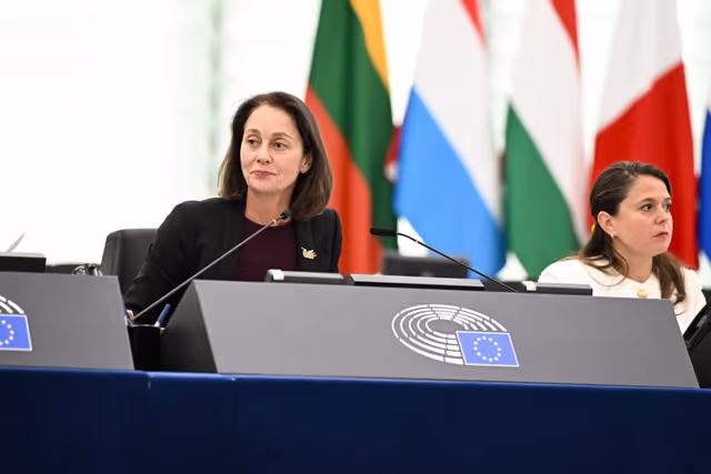 Photo 31: EP Plenary session - Roma inclusion, equality and fundamental rights: delivering on Europe’s values