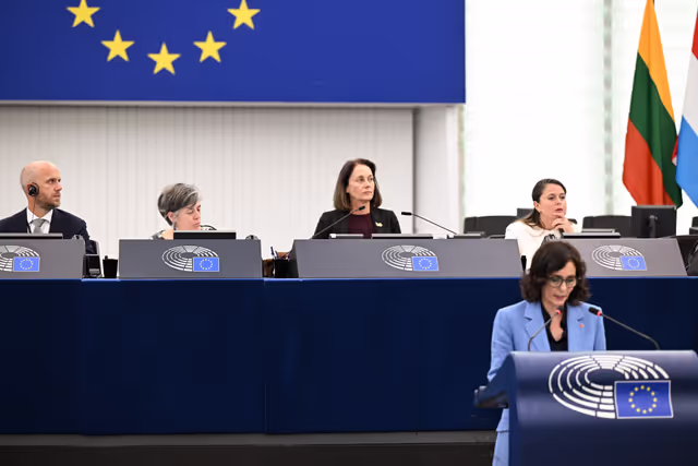 Photo 24: EP Plenary session - Roma inclusion, equality and fundamental rights: delivering on Europe’s values