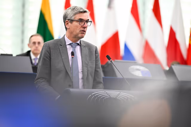EP Plenary session - How to secure a sustainable future for the EU livestock sector in light of the need to ensure food security, farmers’ resilience and the challenges posed by animal diseases?