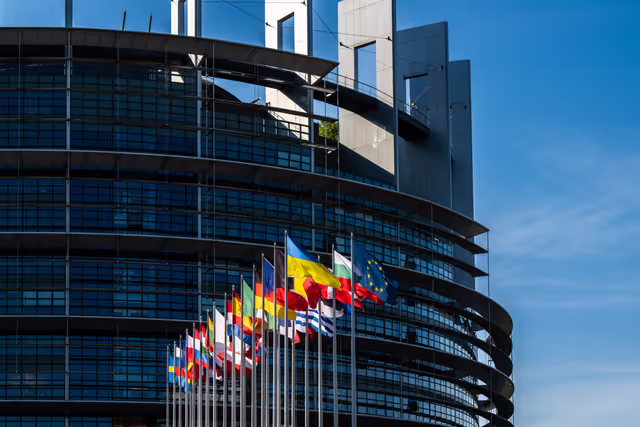 Flags are raised at the EP headquarters in Strasbourg.