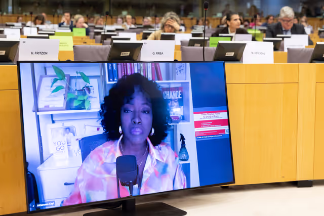 Foto 7: FEMM - Hearing on AI, gender-based violence including sexual images of women and children: the case of Grok